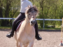 IMG_1694_web
